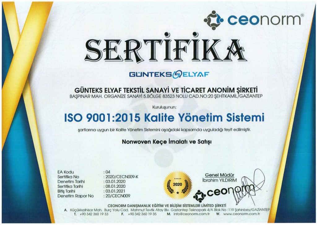 türkçe 9001